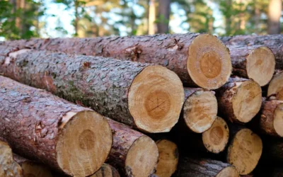 The Importance of Using Domestic Lumber for Your Hardwood Flooring