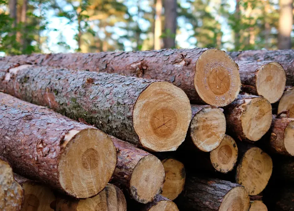 The Importance of Using Domestic Lumber for Your Hardwood Flooring